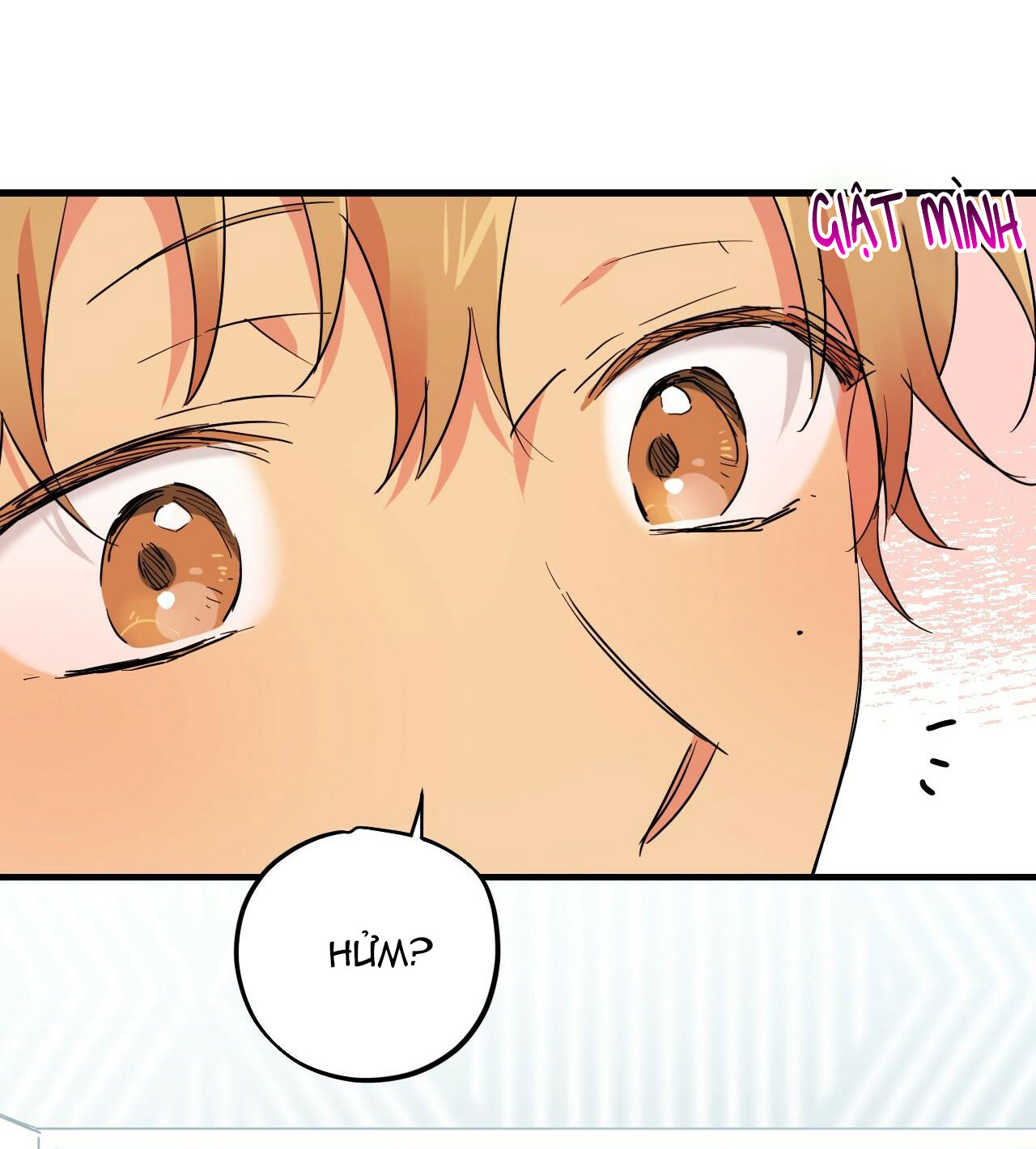 những chú thỏ của hapypy chapter 12 4