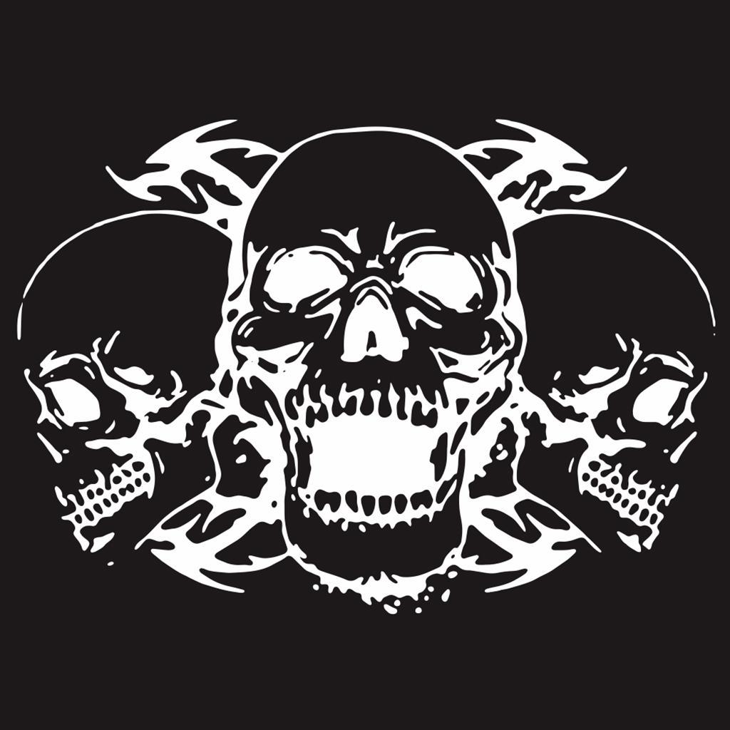2x Skull Body Decals  Decal Graphics for Trucks