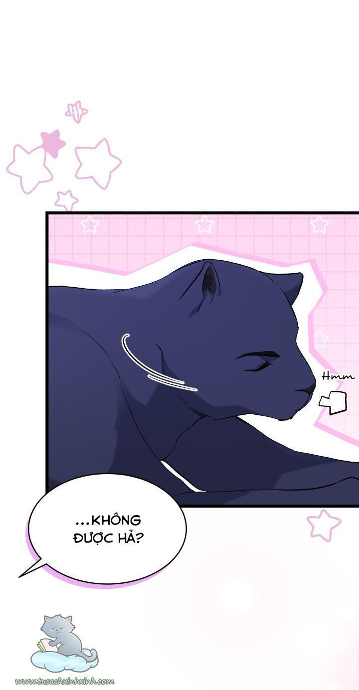 quan hệ cộng sinh giữa báo đen và thỏ trắng chapter 54 34
