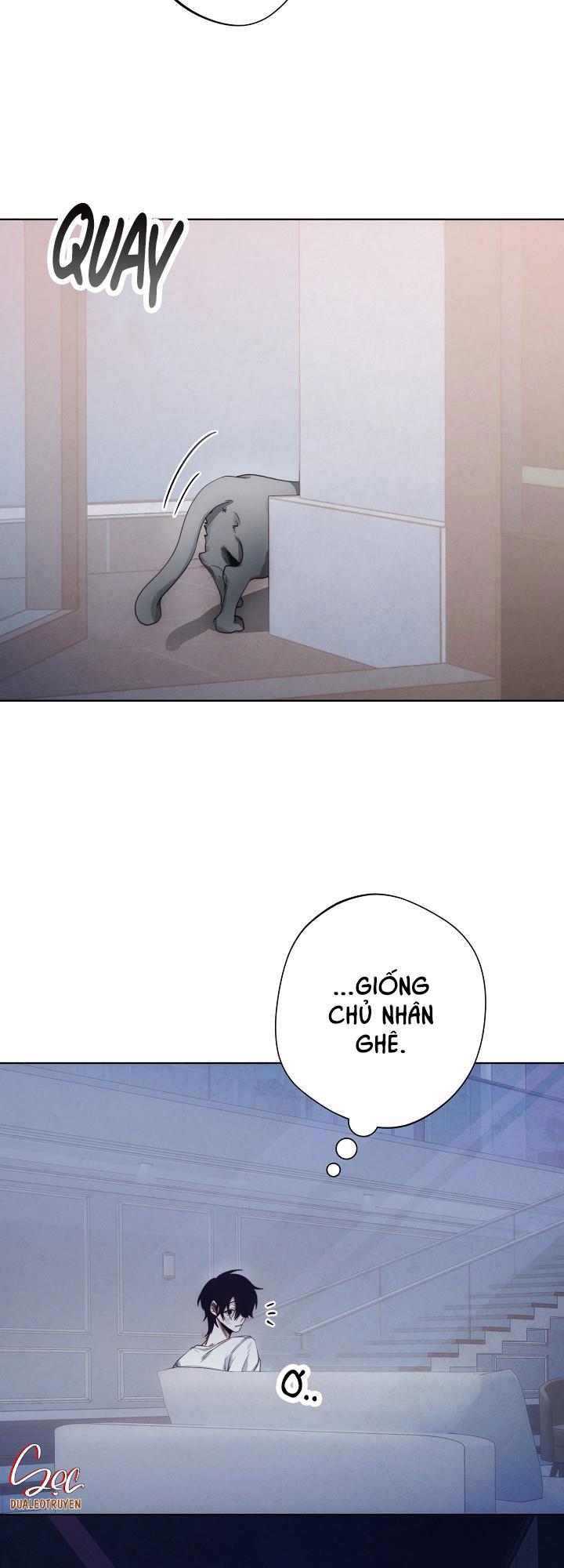 red mansion chapter 4 19