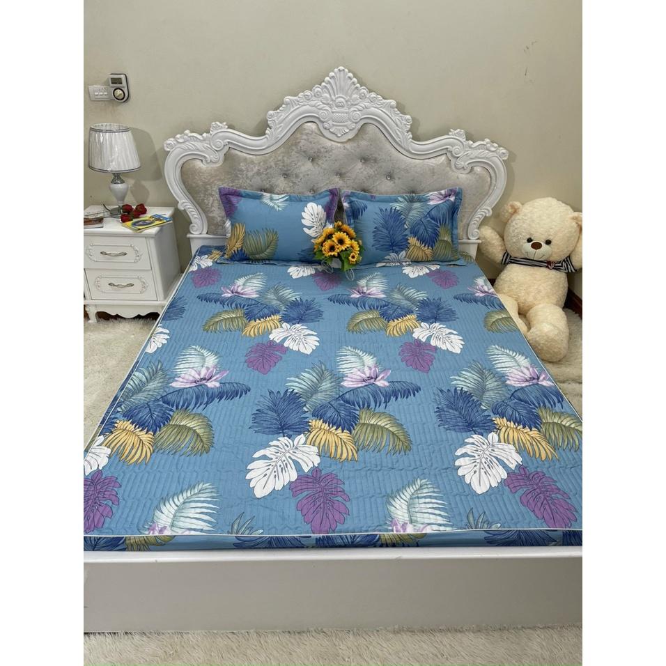 Bộ ga gối cotton trần bông Hàn các kích thước