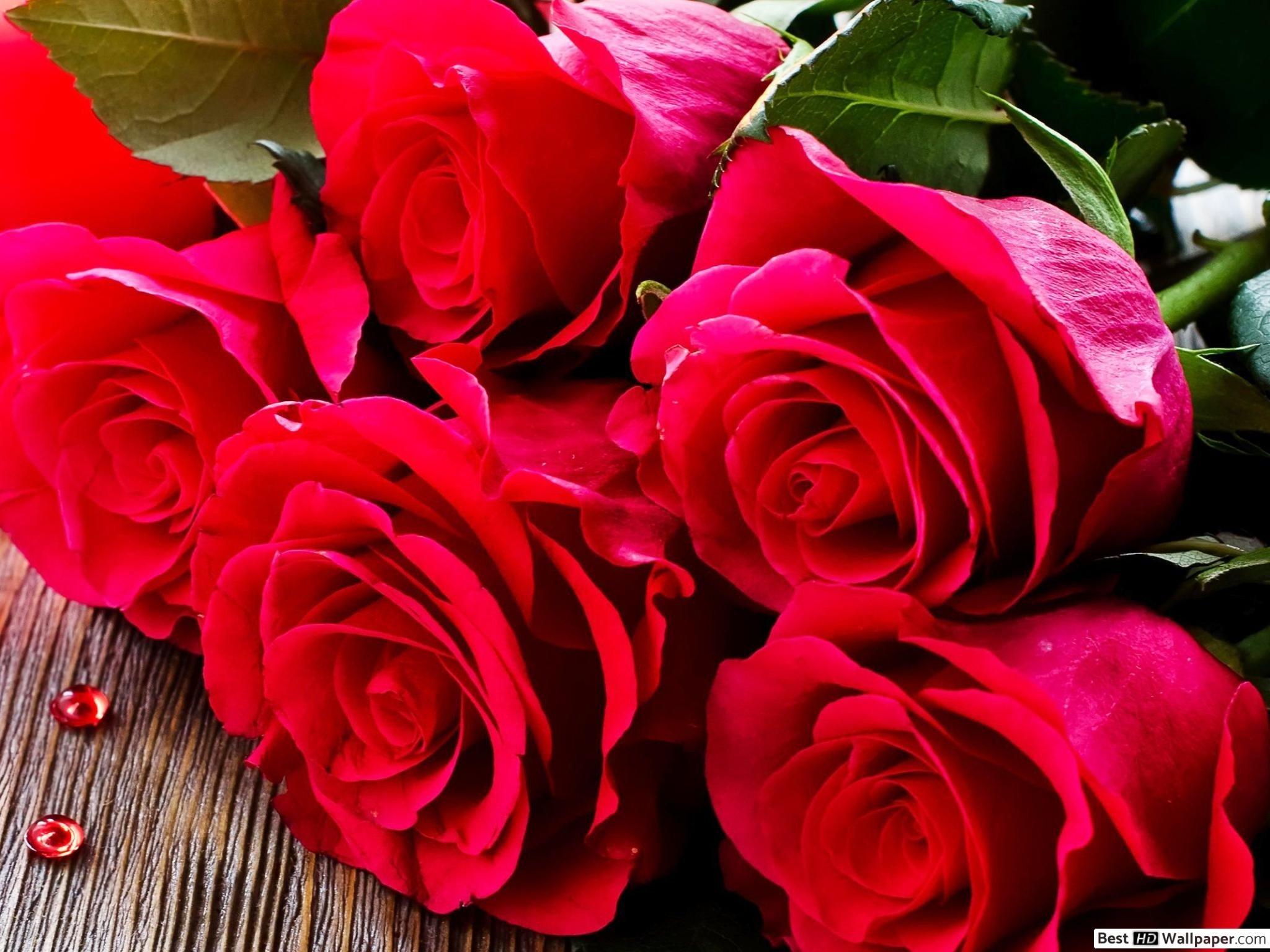 Ly nến thơm tinh dầu Bolsius Velvet Rose 105g QT024342 - hoa hồng nhung, Nến thơm khử mùi, nến trang trí, thơm phòng, thư giãn, khử mùi