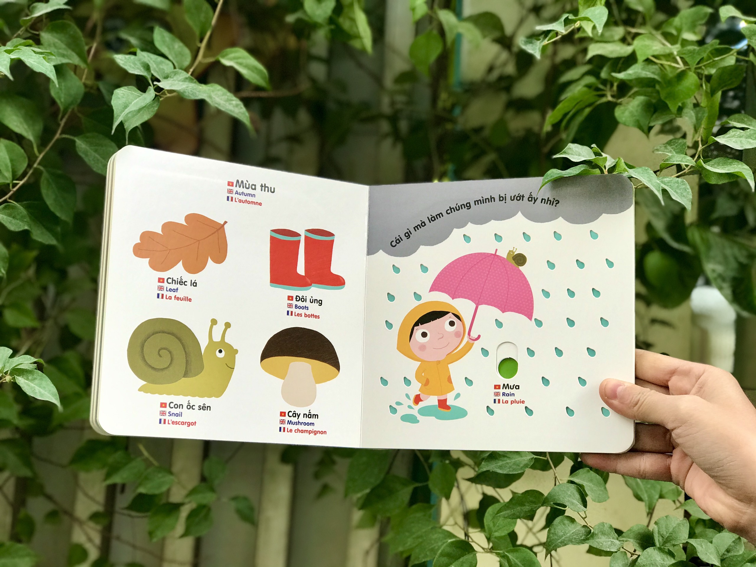 Sách tương tác chuyển động thông minh đa ngữ Việt - Anh - Pháp - Đinh Tị - Mộc Nhiên