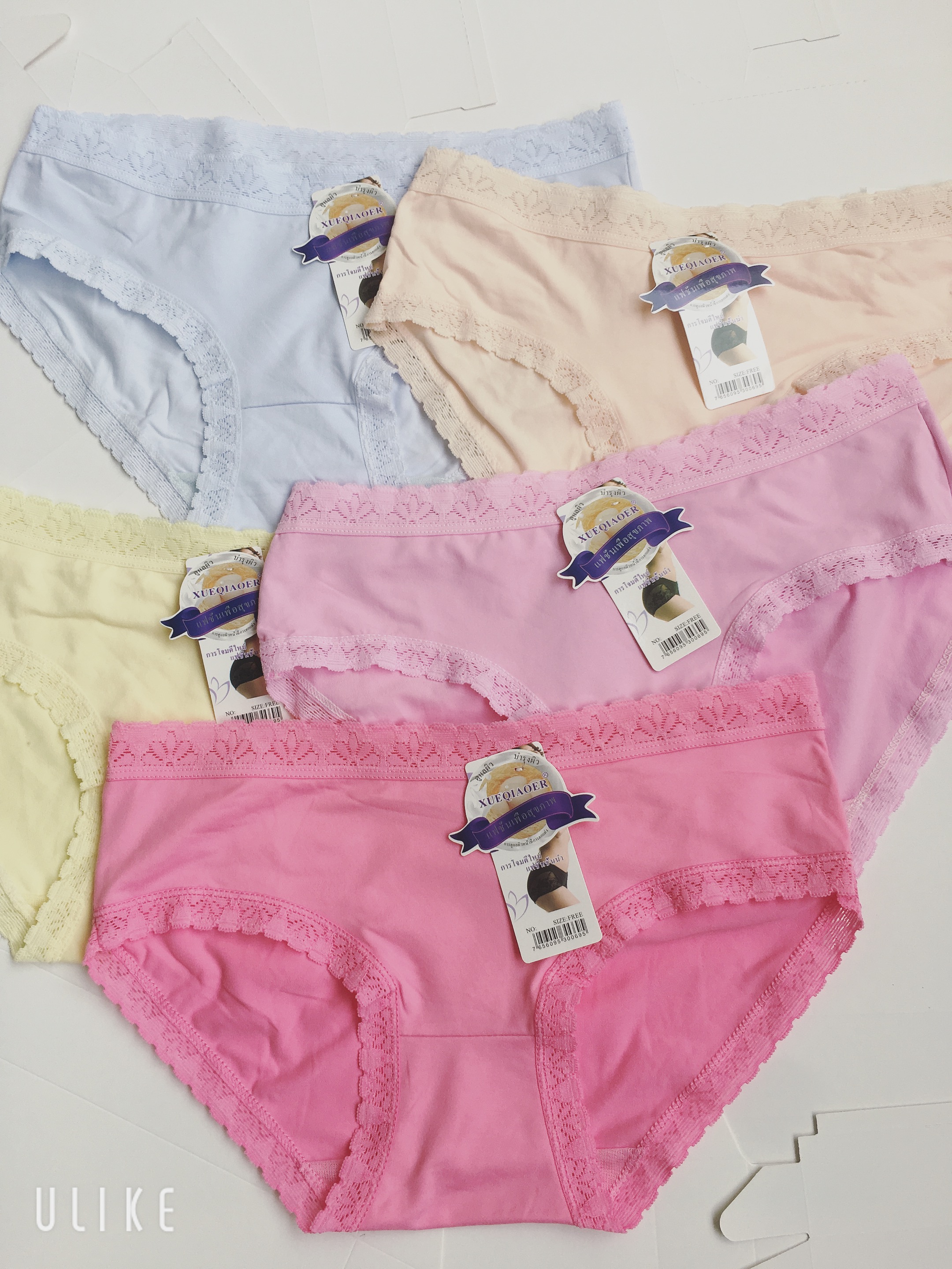 Combo 5 quần lót nữ cotton nhiều màu mã 819