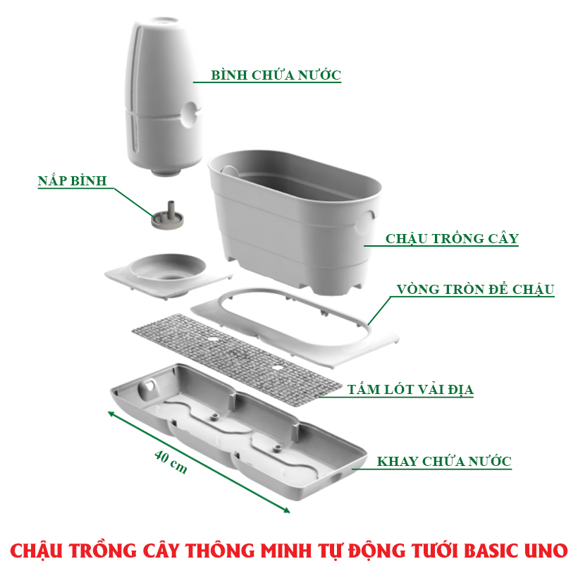 CHẬU TRỒNG CÂY ĐỂ BÀN THÔNG MINH TỰ ĐỘNG TƯỚI BASIC UNO trong 2 tháng