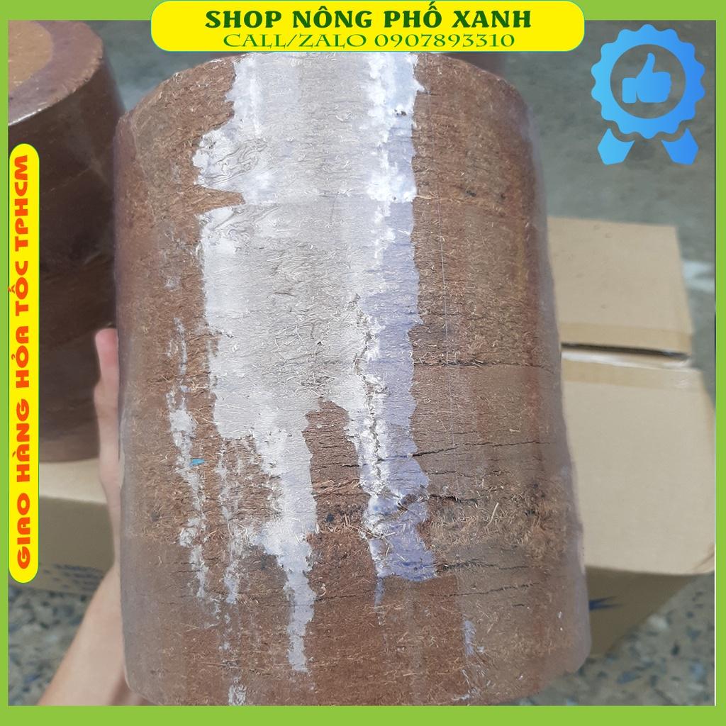 Thùng 24 Viên Đất Nén Hữu Cơ Viên Nén Mụn Dừa Bánh Nén Xơ Dừa 450Gr Ươm Hạt Giống Rau Củ Quả, Trồng Rau, Cây Cảnh