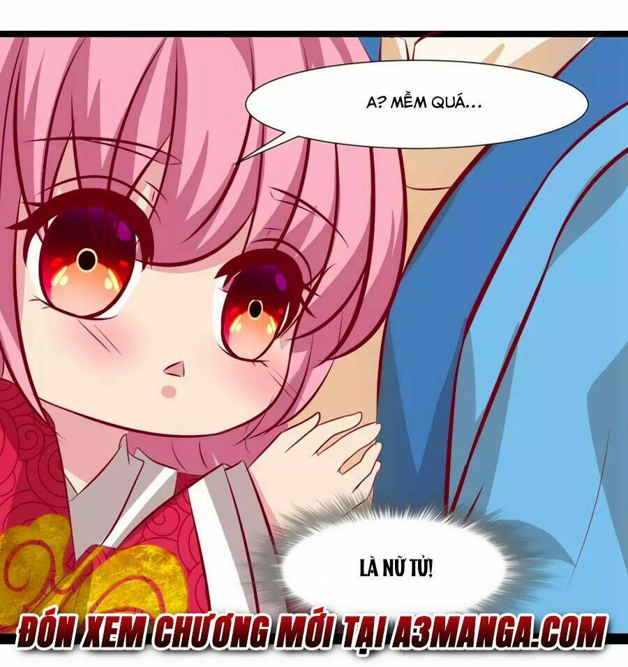 thỏ yêu tiểu vương phi chapter 60 39