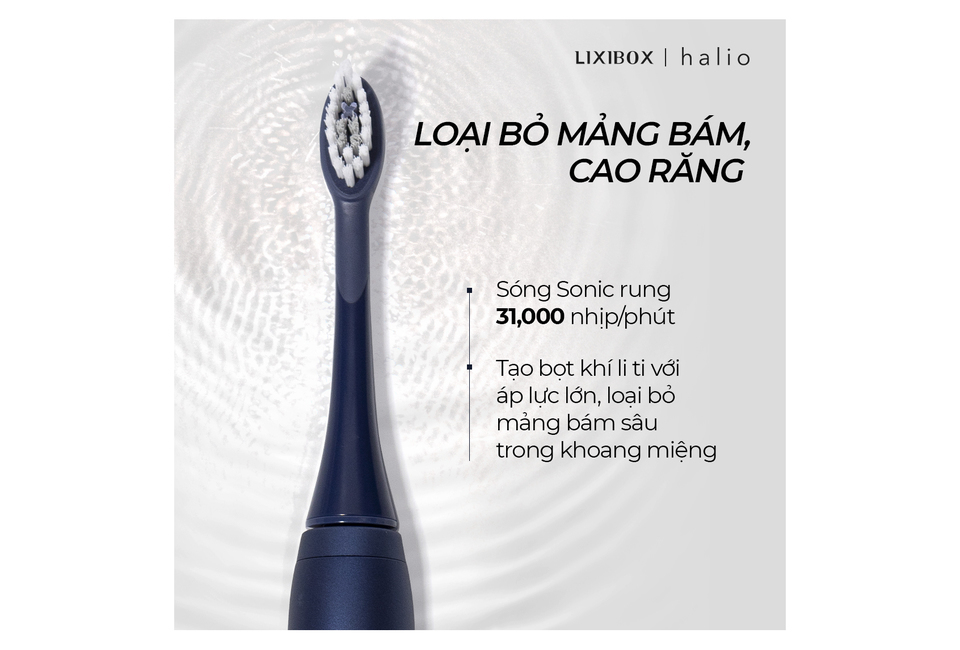 Combo Bàn chải đánh răng điện Halio Toothbrush - Midnight Blue & set đầu bàn chải thay thế