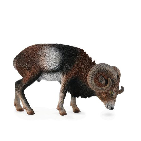 Mô hình thu nhỏ: Cừu Núi - European Mouflon, hiệu: CollectA, mã HS 9651360 - Chất liệu an toàn cho trẻ - Hàng chính hãng