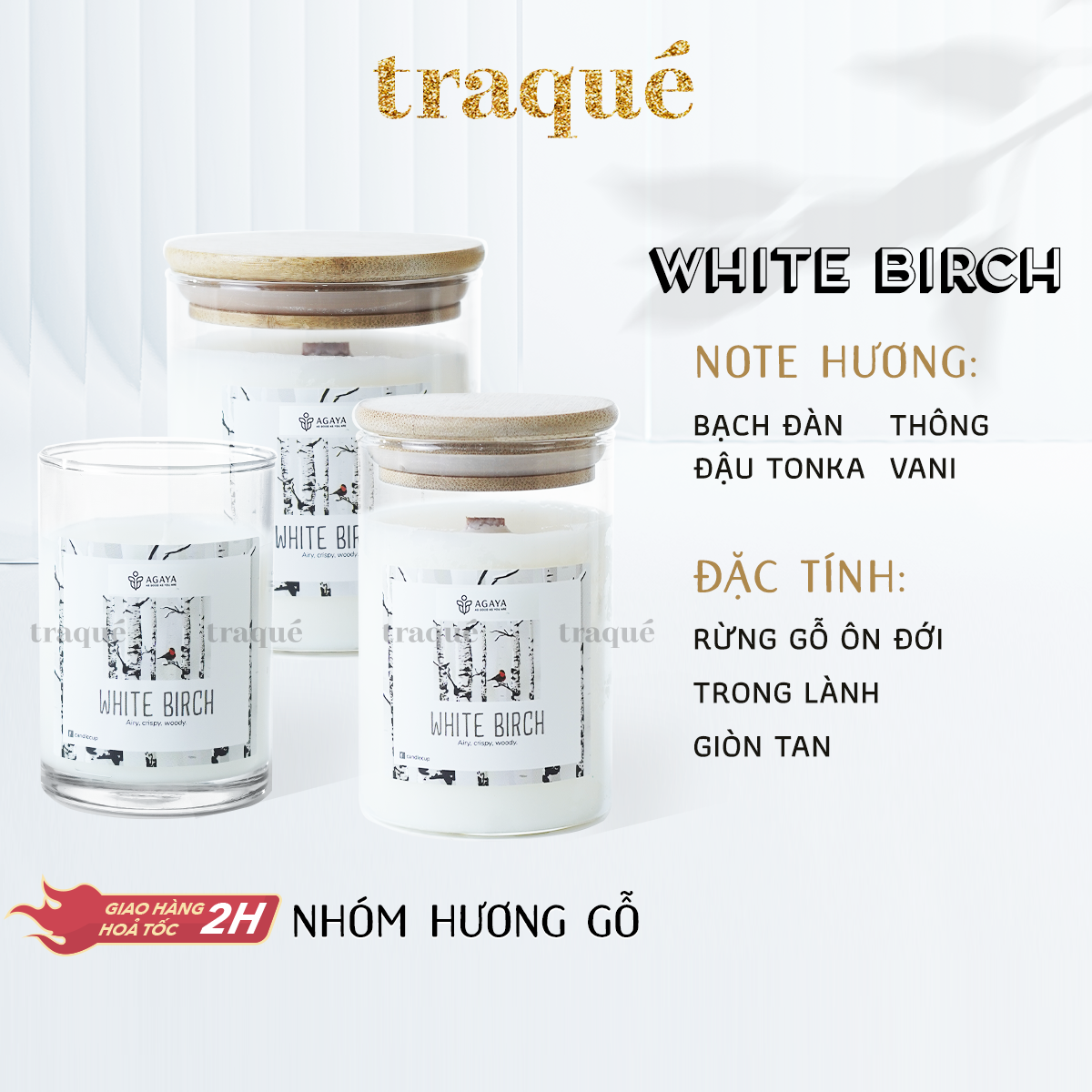 Nến thơm tinh dầu cao cấp không khói an toàn Candle Cup - WHITE BIRCH - L - 350G