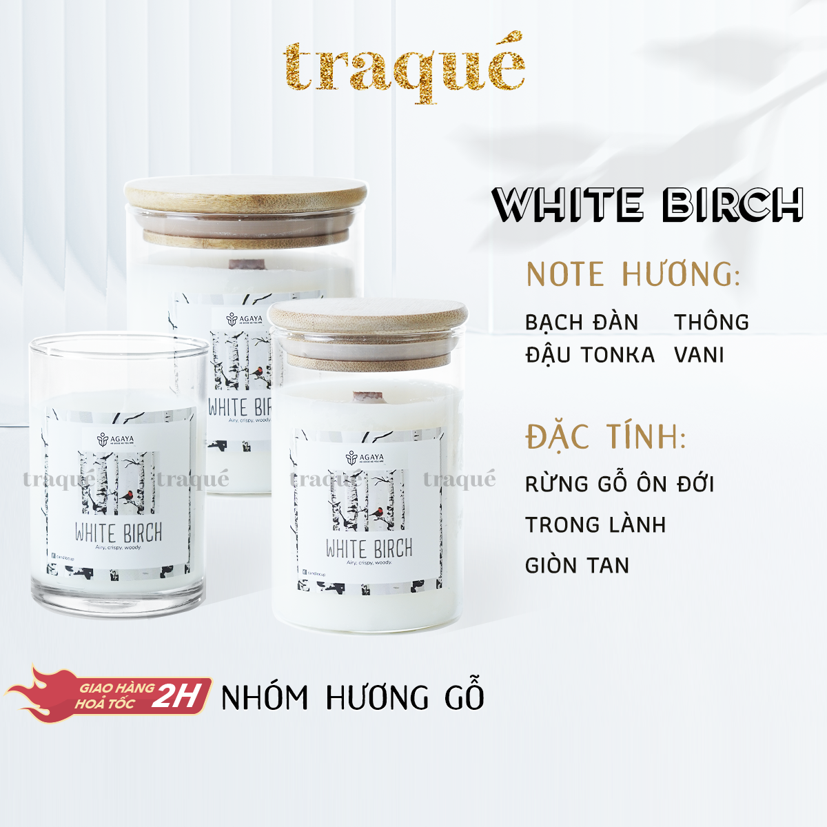 Nến thơm Candle Cup/Agaya - Hương Gỗ WHITE BIRCH