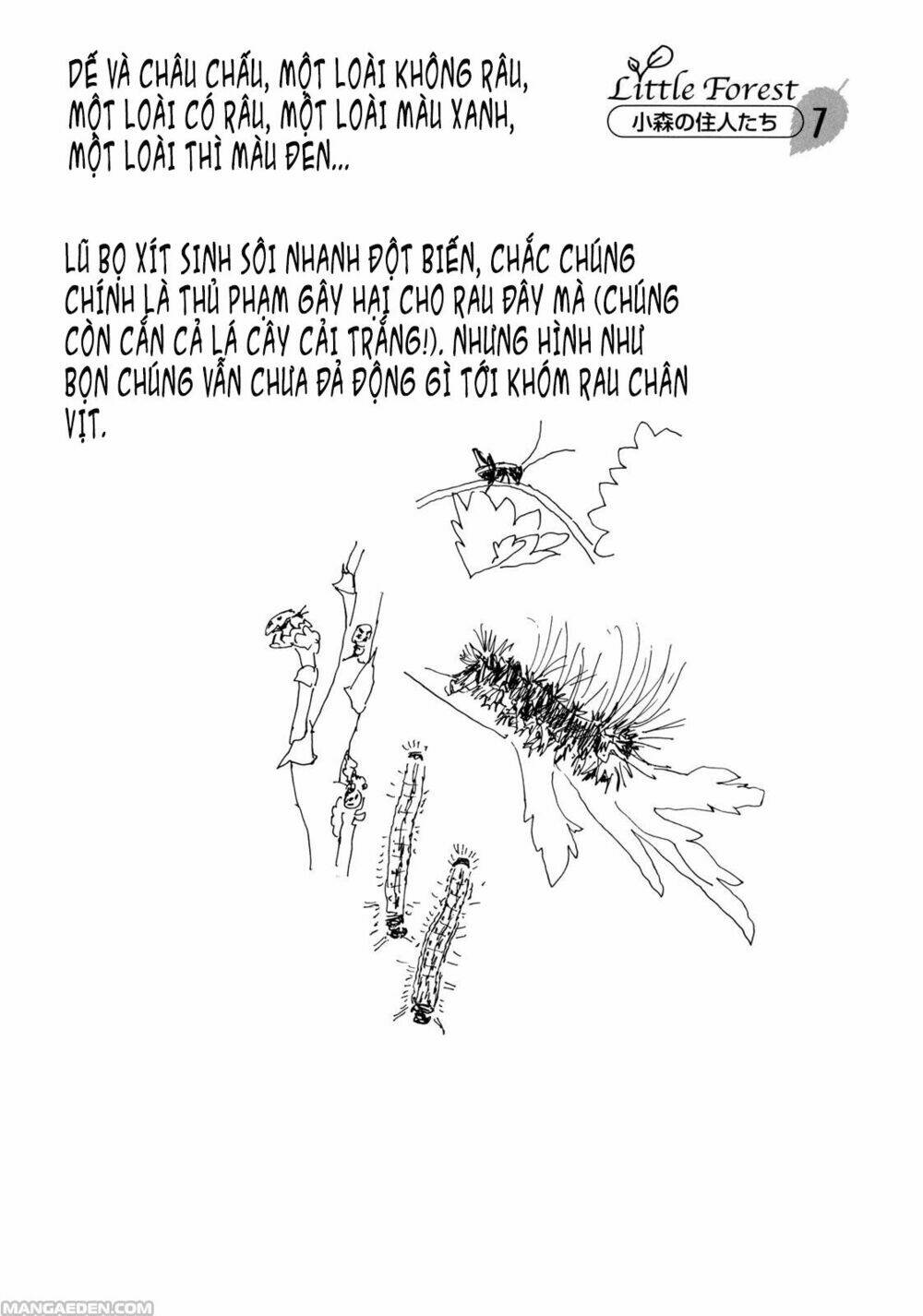 little forest chapter 7 11