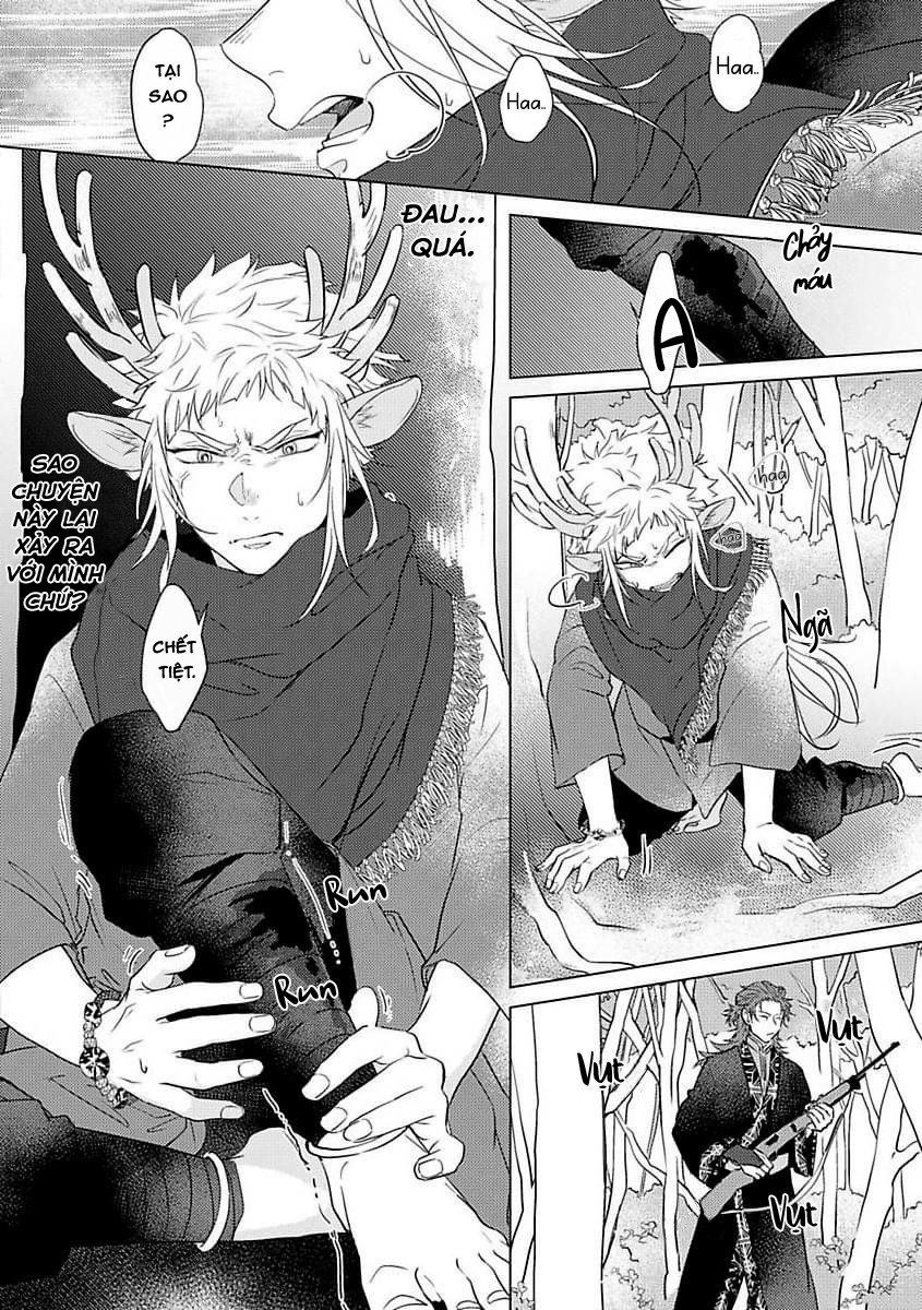 gặp gỡ em, thú nhân màu chàm trắng chapter 1 10