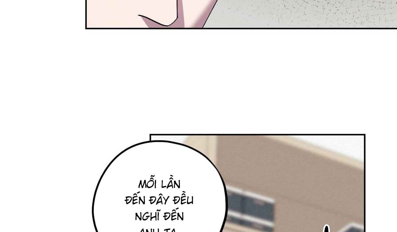 chàng dâu nhà họ kang chapter 29 167