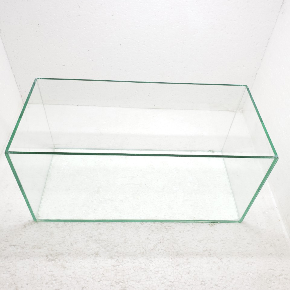 Bể cá mini