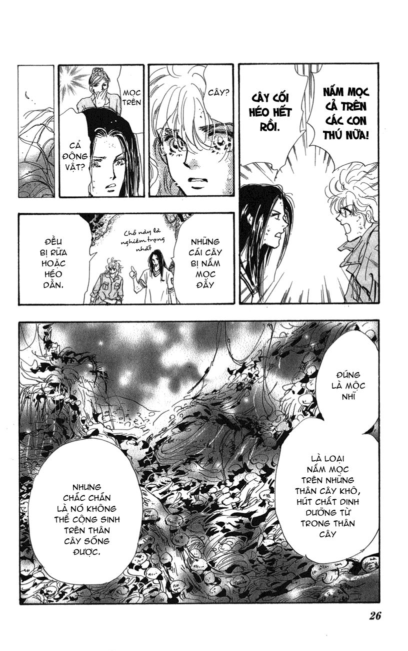 mầm sống chapter 117 25