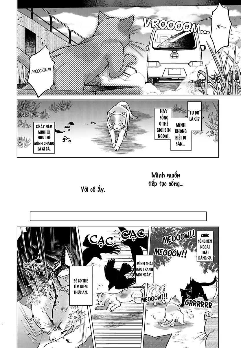 mofumofu bakashiai nikki chapter 3 9