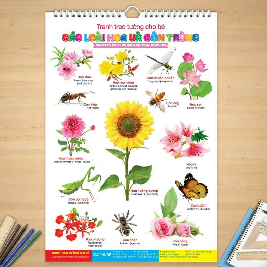 Đồ chơi - Bộ Tranh treo tường 14 chủ đề song ngữ cho bé học đọc, học nói