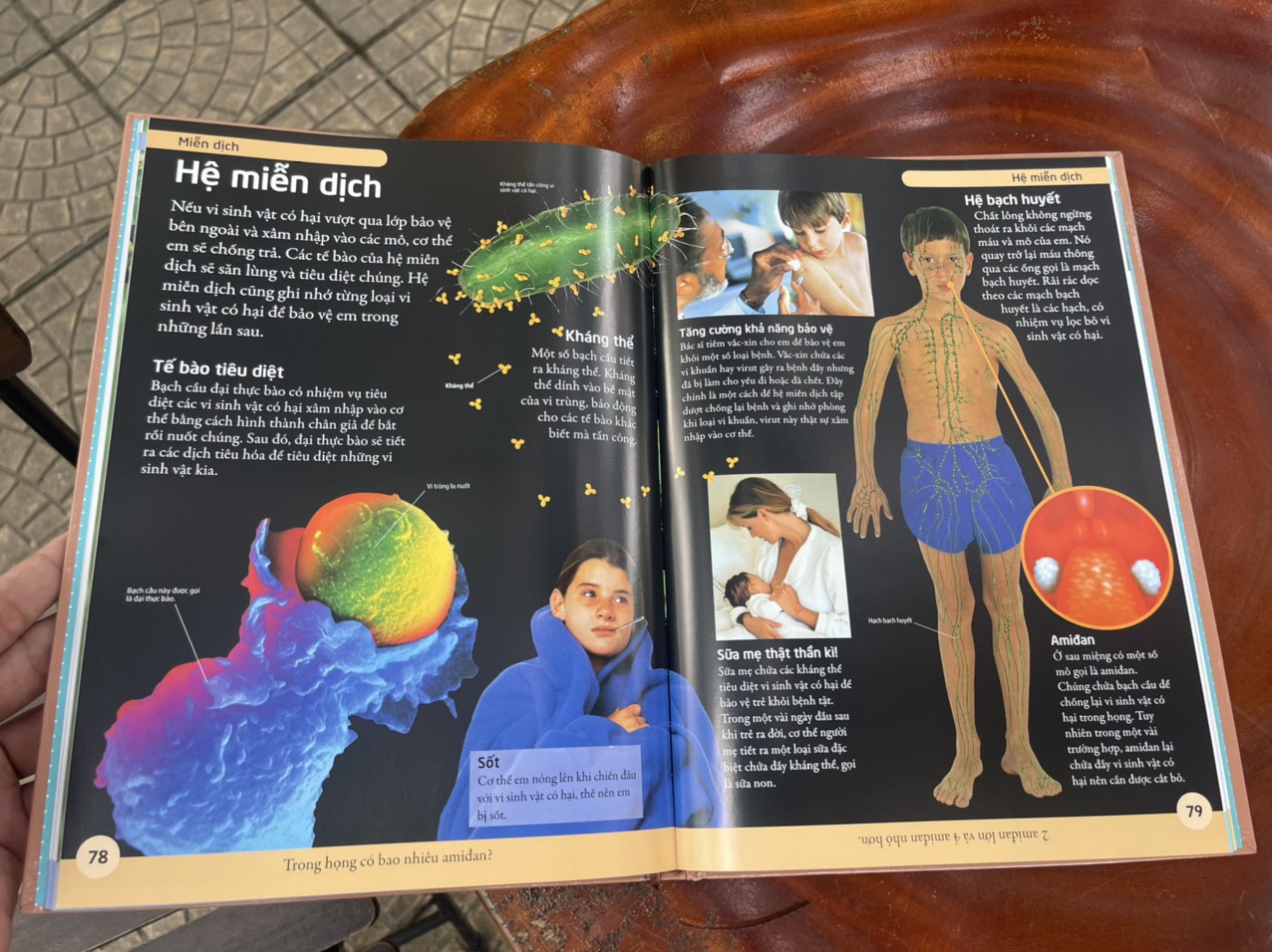 – BÁCH KHOA CƠ THỂ NGƯỜI – MỞ MANG KIẾN THỨC KHƠI DẬY TIỀM NĂNG– tủ sách DK – Đông A – Bìa Cứng in màu toàn bộ
