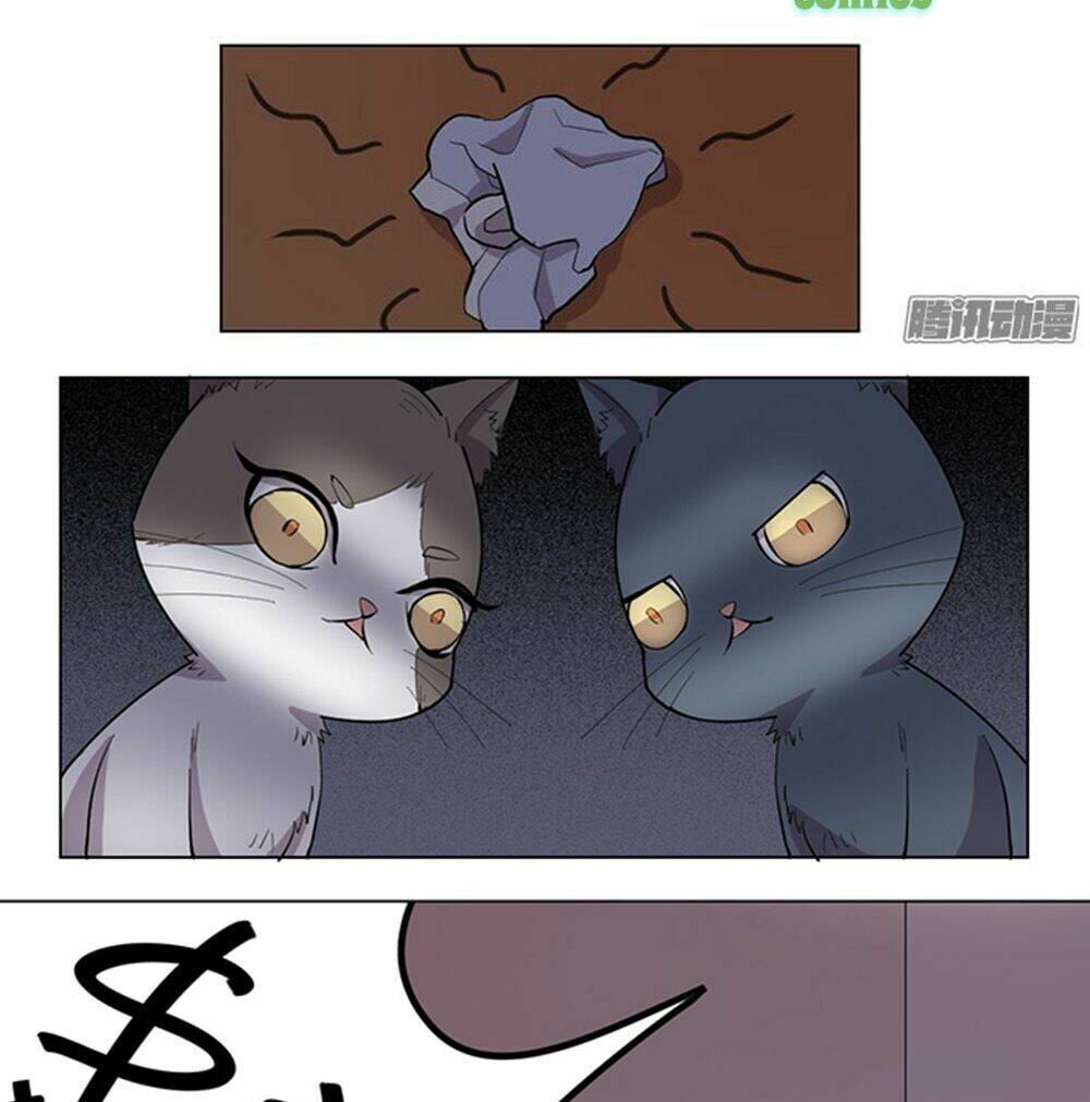 hai chú mèo totem chapter 33 8