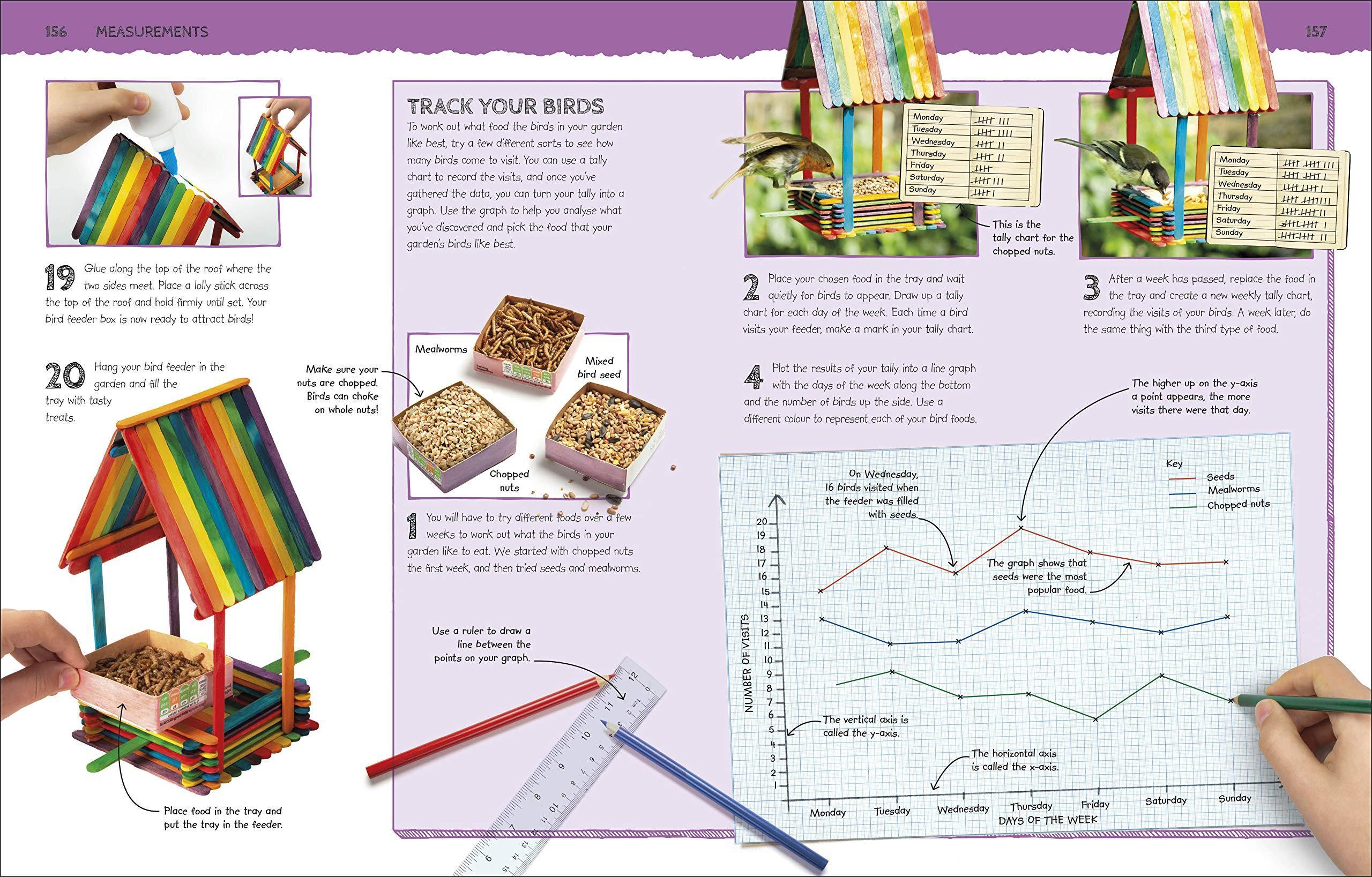 Maths Lab : Exciting Projects for Budding Mathematicians