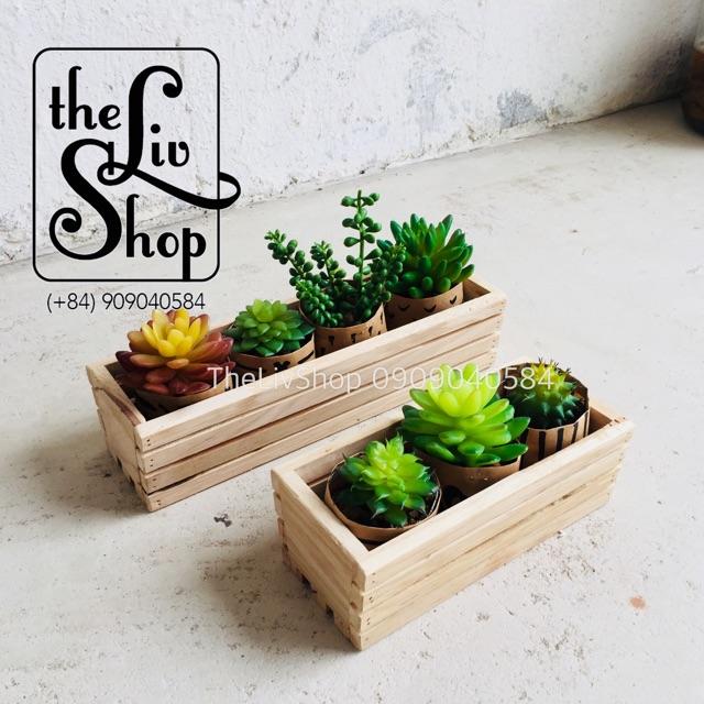 Chậu gỗ trồng cây