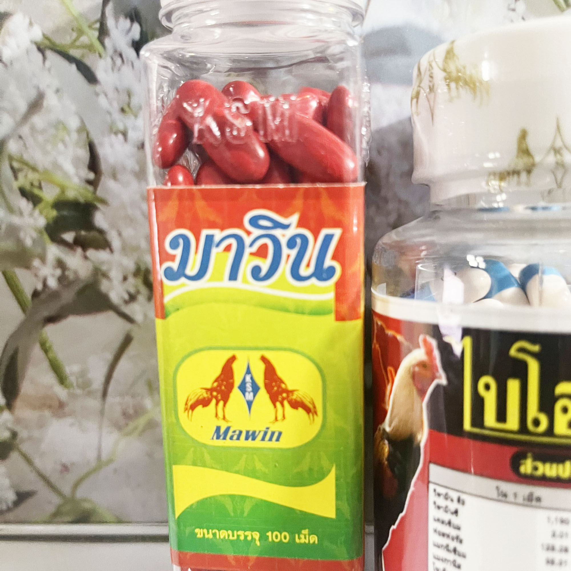 Combo Nuôi Bổ Máu-Bổ Xương-Tăng Cơ