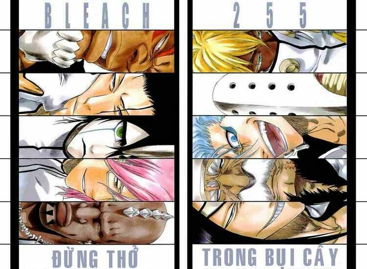 thần chết ichigo chapter 255 2
