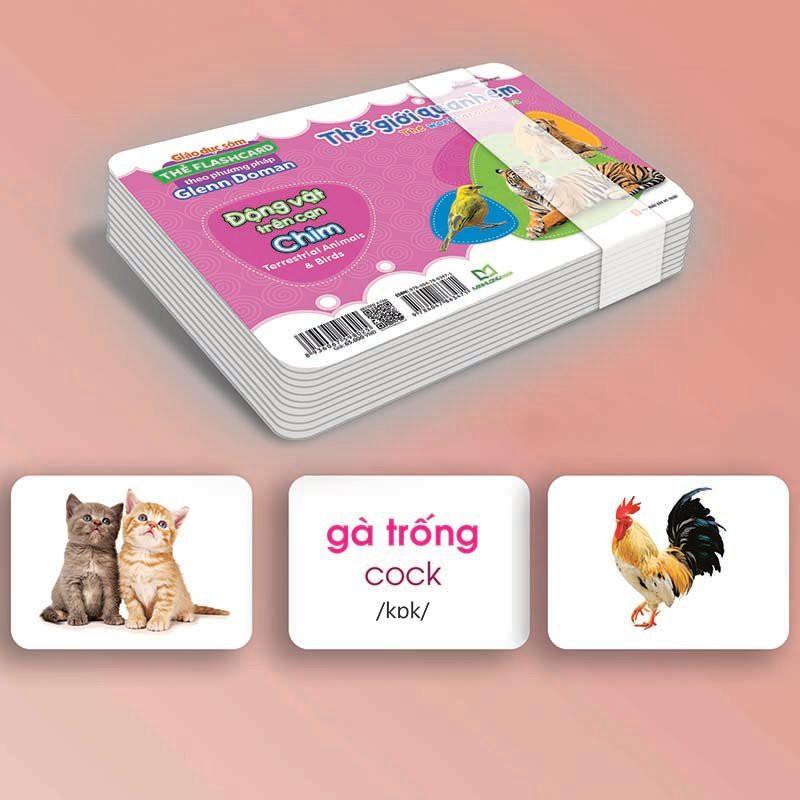 Sách - Hộp Thẻ Flashcard Theo Phương Pháp Glenn Doman - Thế Giới Quanh Em