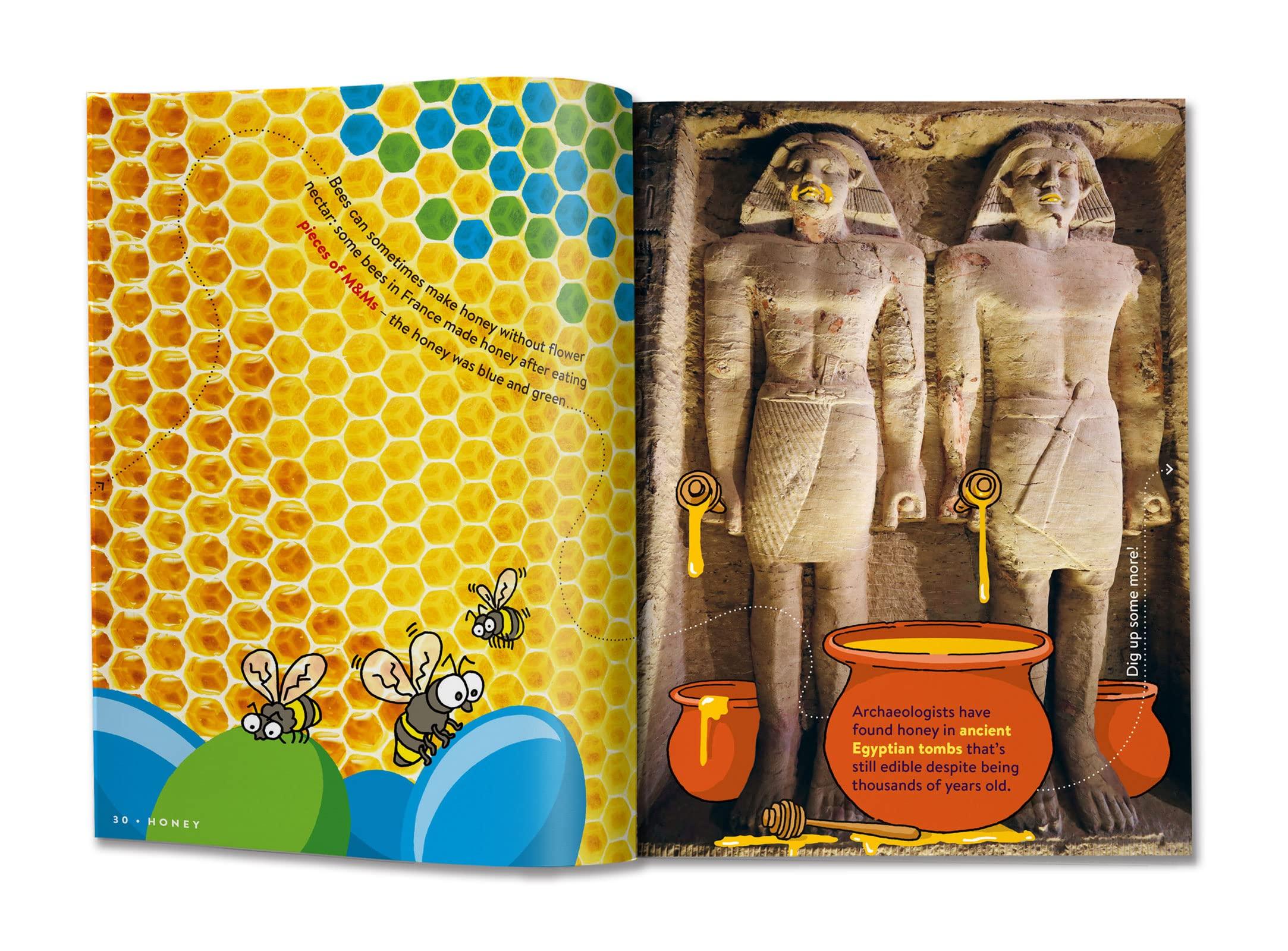 Sách ngoại văn: Return To Factopia! - Follow the Trail of 400 More Facts