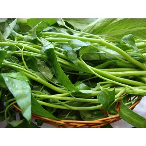 Hạt Giống Rau Muống Lá Lớn Rạng Đông Dễ Trồng, Sinh Trưởng Khỏe - Shop Phân Bón và Hạt Giống