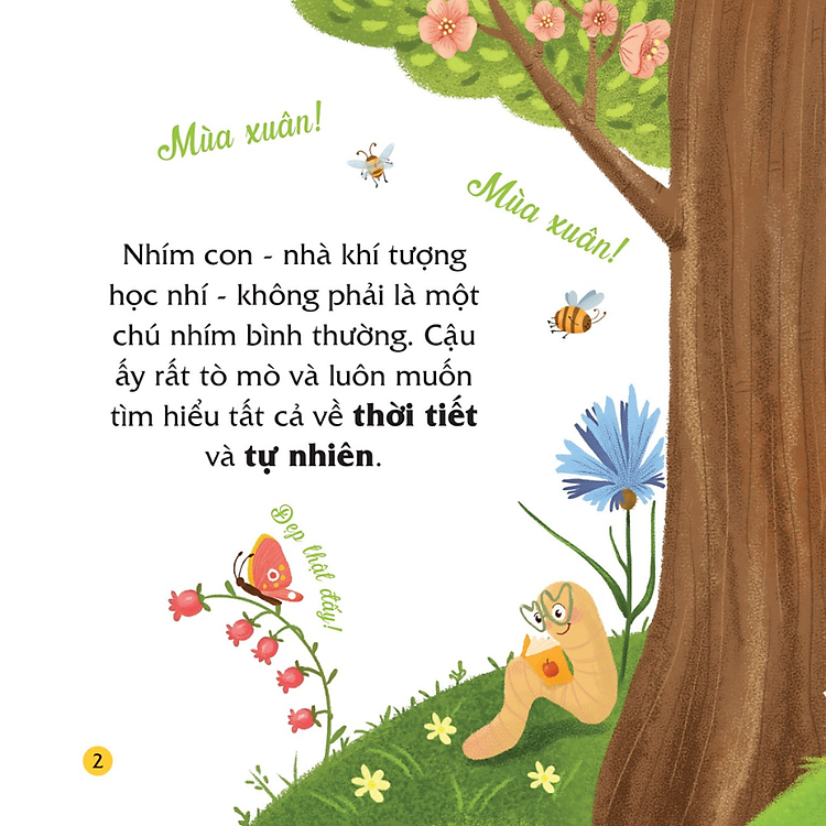 Truyện kể bốn mùa - Nhím con ham học hỏi