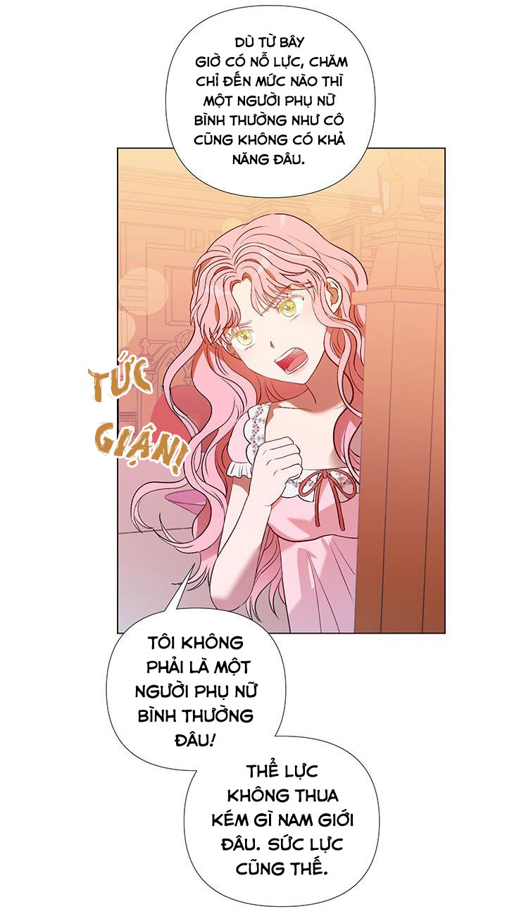 elizabeth chapter 16 25