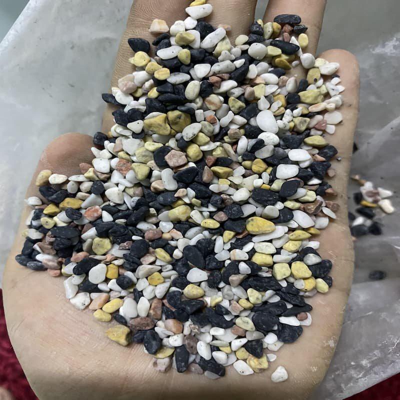 Sỏi 4 Màu Trang Trí Hồ Cá, Nhà Cửa, Chậu Cây, Hoa 1KG