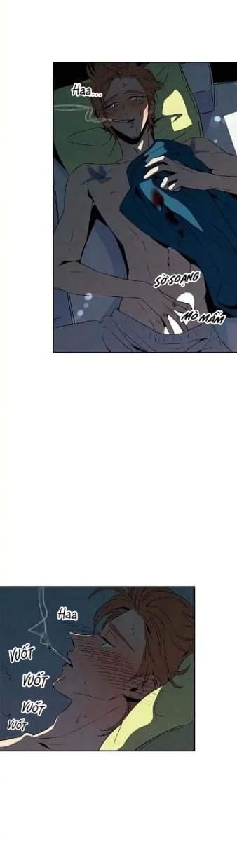 bona sort chapter 17 13