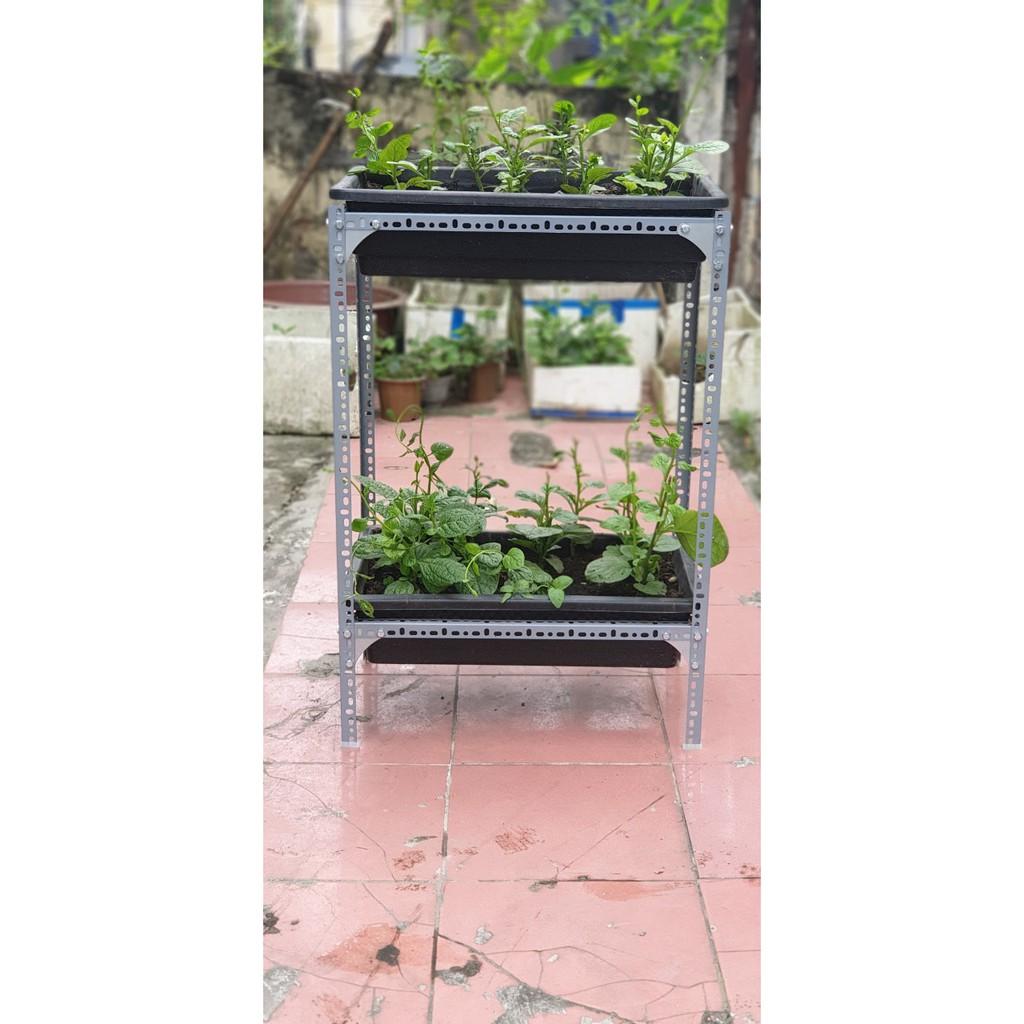 Kệ sắt trồng rau thông minh 2 tầng dùng cho 2 khay trồng rau kích cỡ 68x43x15 cm