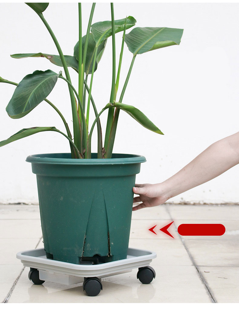 Đế lót chậu cây thông minh kết hợp bánh lăn 360 độ tiện lợi
