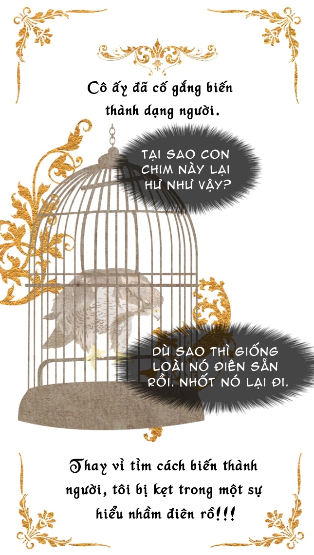 những mẩu truyện dịch nhỏ chapter 13 5