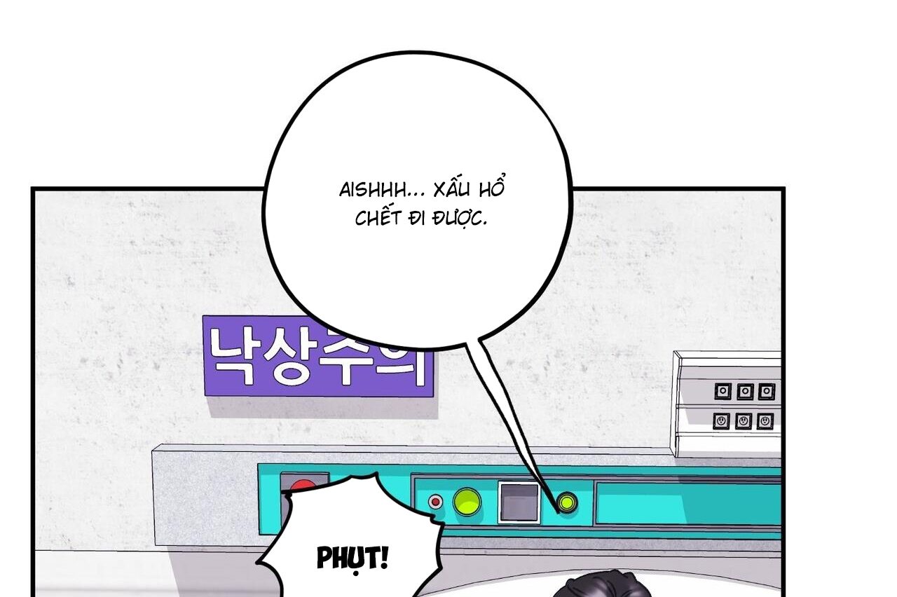 chàng dâu nhà họ kang chapter 32 38