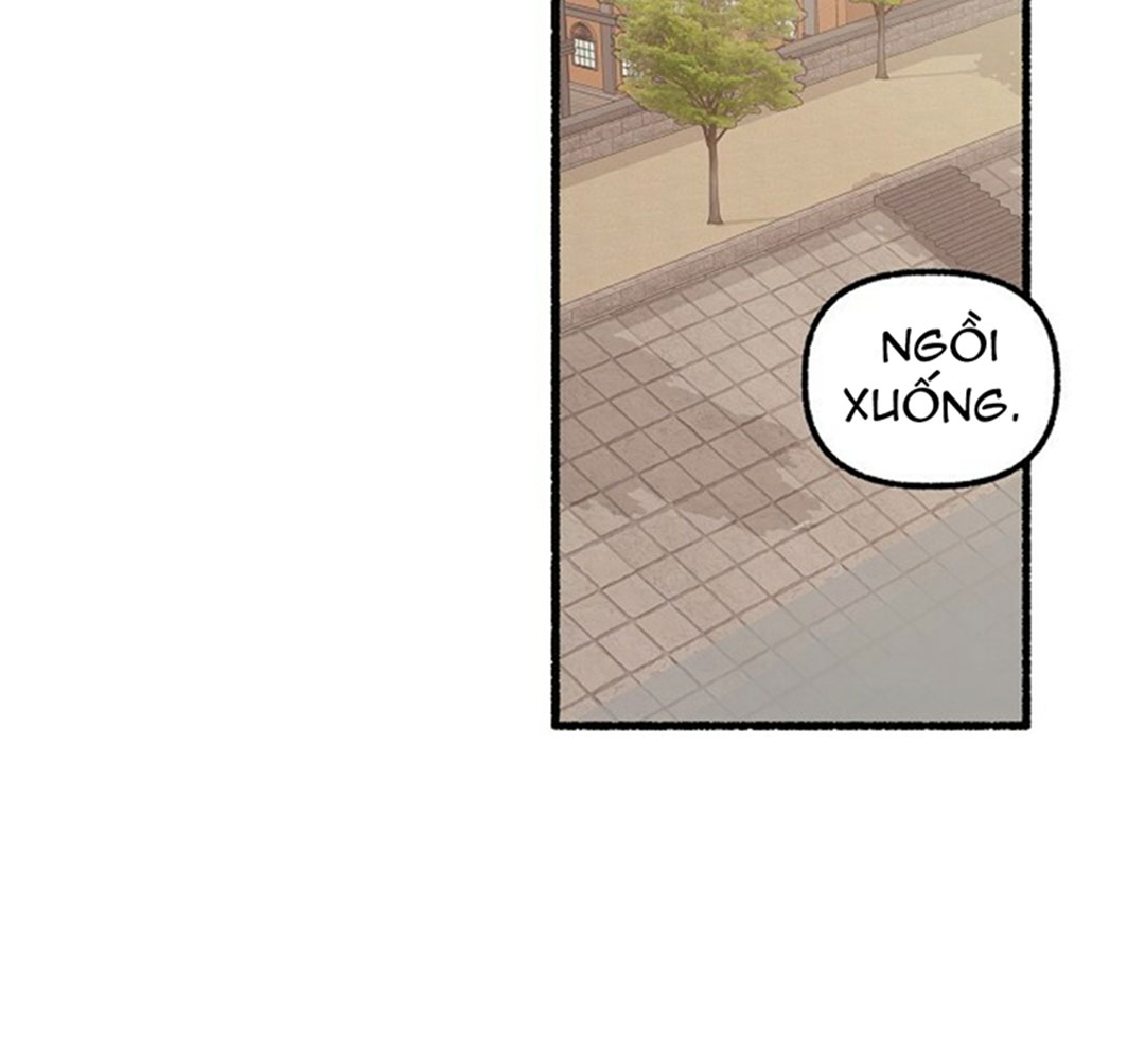 hoa triều chapter 18 94