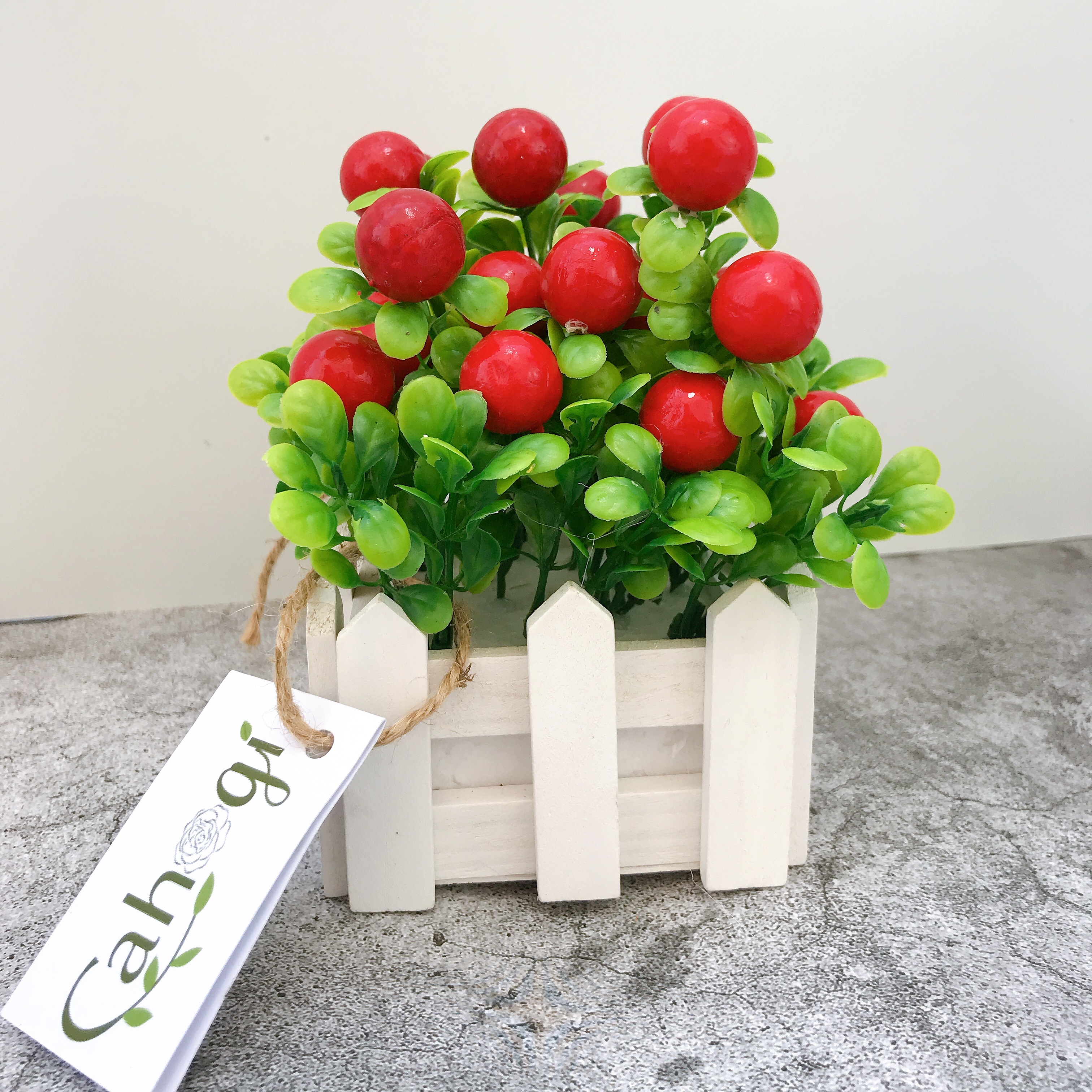 Chậu Cây Cherry Giả Đỏ Mọng