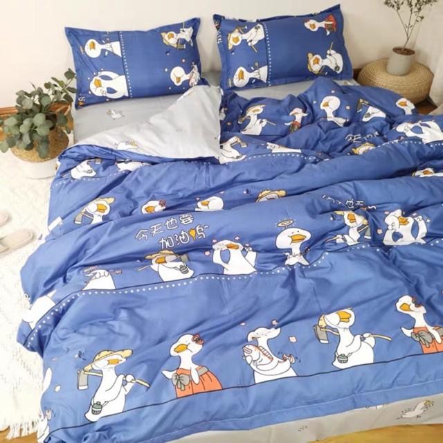 Vỏ chăn poly cotton nhiều mẫu