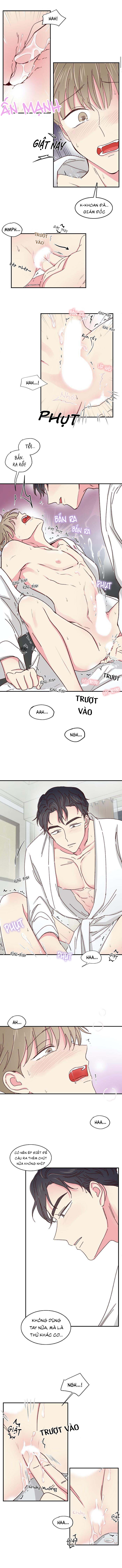 món tráng miệng của sếp tổng chapter 19 4