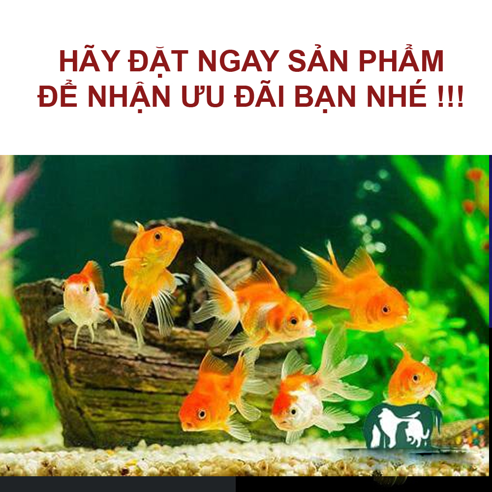 Thức ăn cho cá cảnh, tép cảnh Shrimp Food 120Gr siêu đạm, kích màu, tăng size cao câp, hiệu quả