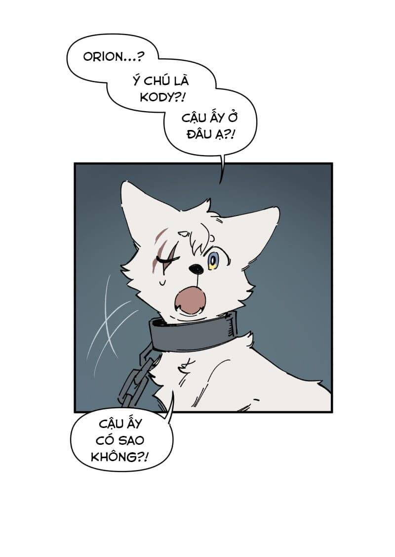 lumine - cội nguồn ánh sáng chapter 143 15