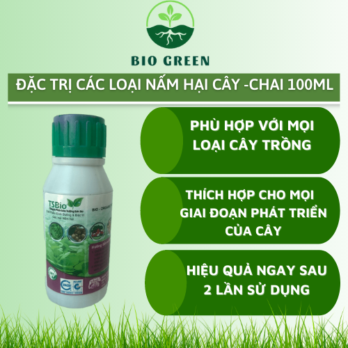 Trừ nấm sinh học TSBIO 100ml chuyên trừ CHÁY LÁ, RỈ SẮT, ĐỊA Y, VÀNG LÁ TRÊN CÂY MAI VÀNG