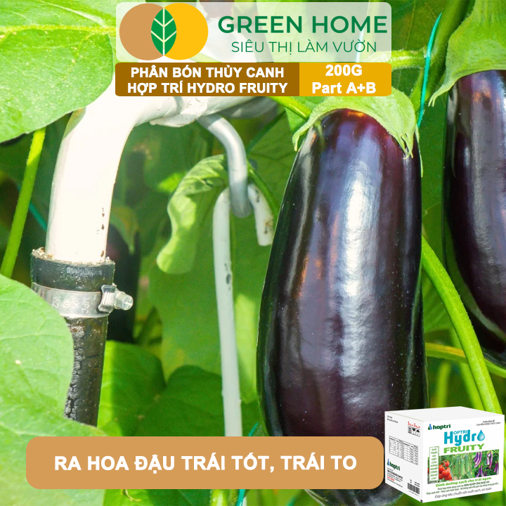 Phân bón Hợp Trí Hydro Fruity GreenHome, Hộp 200g (Part A+B), Chuyên Cho Cây Ăn Trái Trồng Thủy Canh