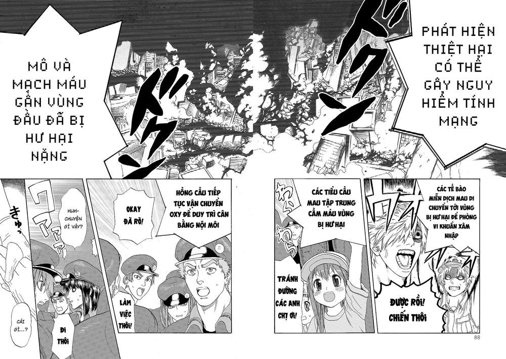 hataraku saibou! chapter 17 19