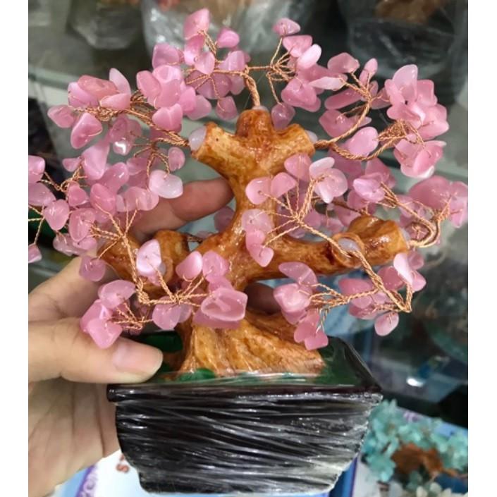 (Chọn mẫu)CÂY PHONG THỦY ĐÁ SIZE 16CM