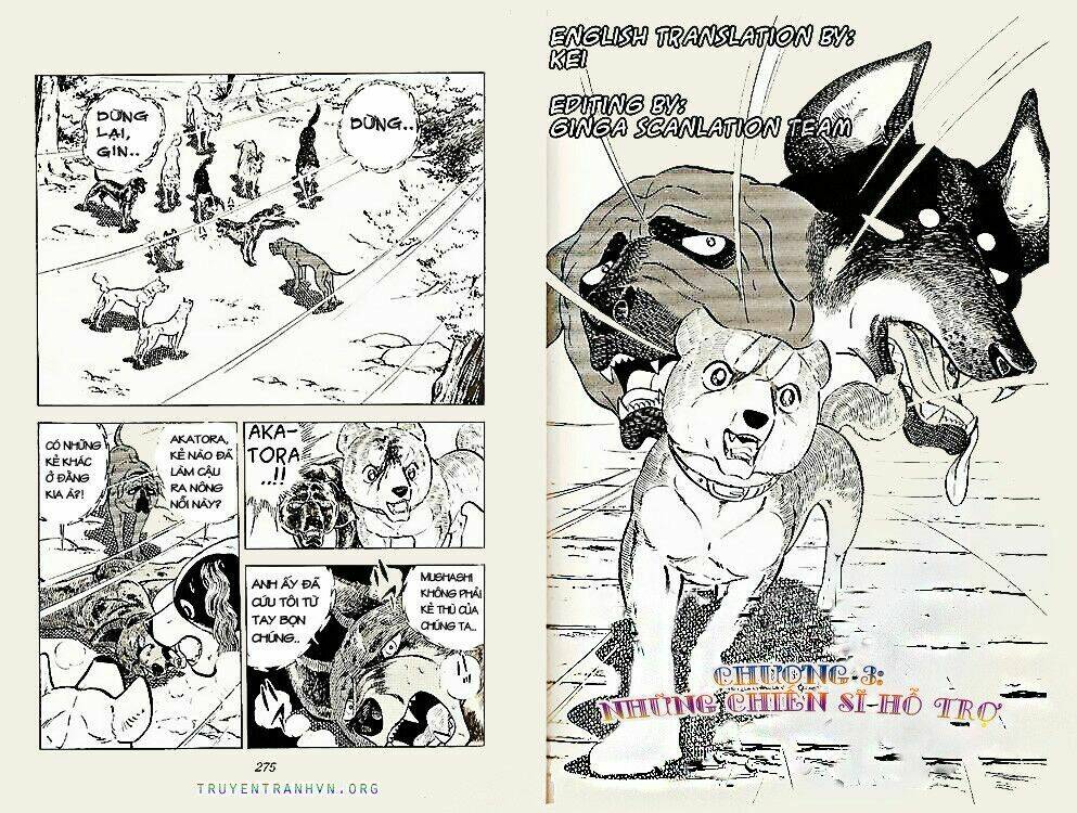 chú chó có nghĩa - ginga nagareboshi gin chapter 23 1